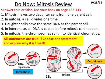 Do Now: Mitosis Review Answer true or false. Use your book on page