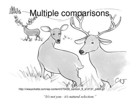 Multiple comparisons http://newyorkette.com/wp-content/070430_cartoon_8_a12131_p465.gif.