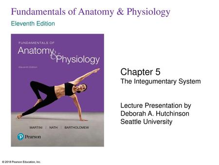 Fundamentals of Anatomy & Physiology