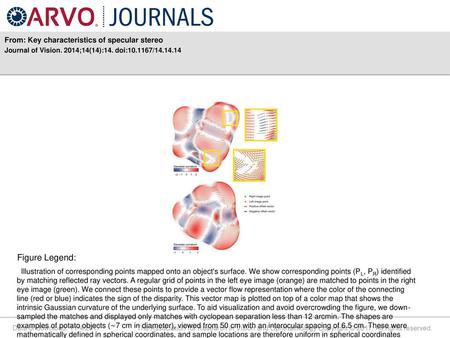 Figure Legend: From: Key characteristics of specular stereo