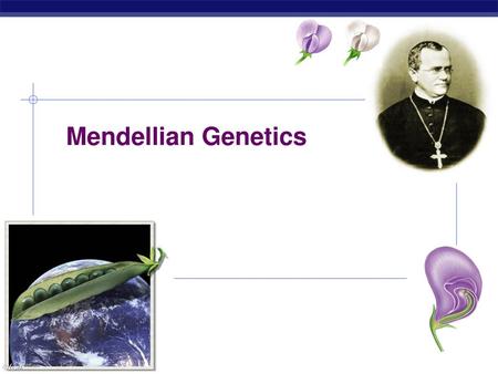 Mendellian Genetics.