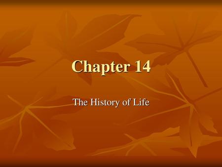 Chapter 14 The History of Life.