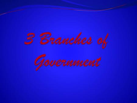 3 Branches of Government