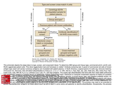 This schematic depicts the steps taken to type, screen, and crossmatch blood. To determine ABO group and rhesus type, commercial anti-A, anti-B, anti-Rh(D)