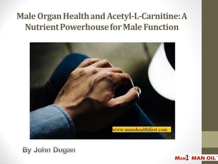 Male Organ Health and Acetyl-L-Carnitine: A Nutrient Powerhouse for Male Function