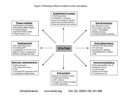 Figure 3 Pleiotropic effects of statins on the vasculature Figure 3 Pleiotropic effects of statins on the vasculature Clinical Science