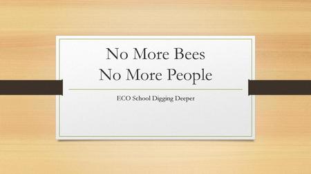 No More Bees No More People