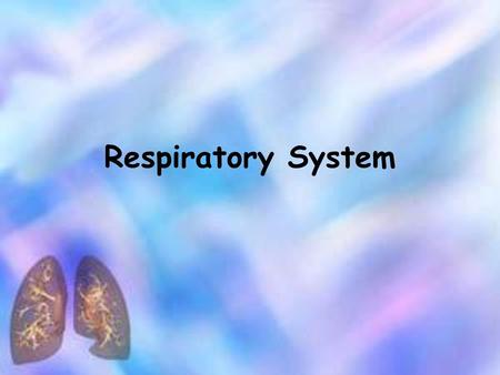 Respiratory System.