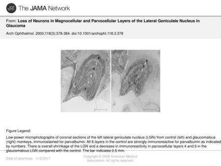 Copyright © 2000 American Medical Association. All rights reserved.