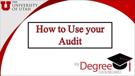 How to Use your Audit.