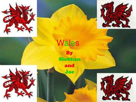 Wales By Siobhan and Joe.