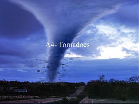   A4- Tornadoes A4-Tornadoes Billy Lewis Alex Guggenberger Nick.