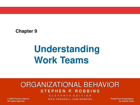 Understanding Work Teams