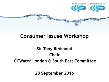 Consumer Issues Workshop CCWater London & South East Committee