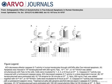 Invest. Ophthalmol. Vis. Sci ;57(14): doi: /iovs Figure Legend: