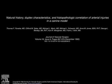 Natural history, duplex characteristics, and histopathologic correlation of arterial injuries in a canine model  Thomas F. Panetta, MD, Clifford M. Sales,