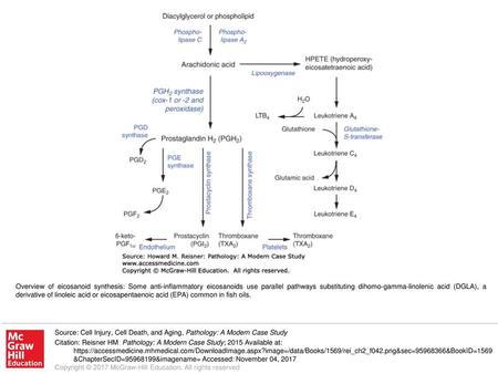 Overview of eicosanoid synthesis: Some anti-inflammatory eicosanoids use parallel pathways substituting dihomo-gamma-linolenic acid (DGLA), a derivative.