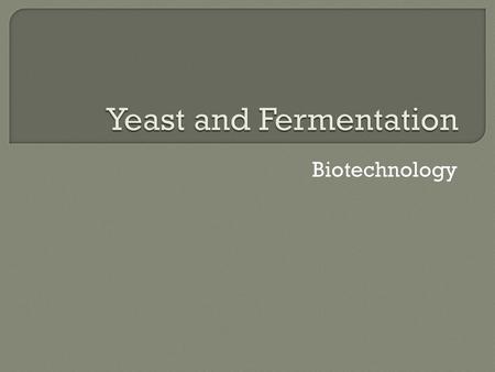 Yeast and Fermentation