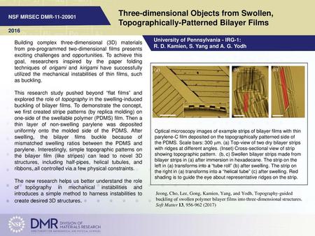 NSF MRSEC DMR 2016 University of Pennsylvania - IRG-1: