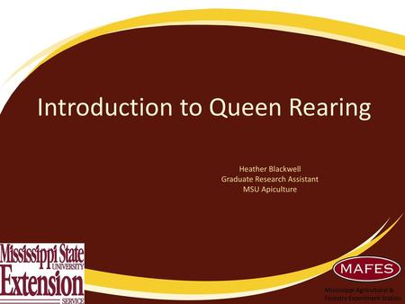 Introduction to Queen Rearing