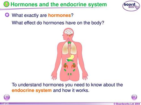 Hormones and the endocrine system