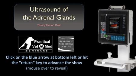 Ultrasound of the Adrenal Glands