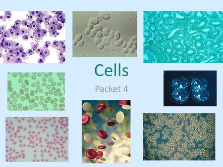 Cells Packet 4.