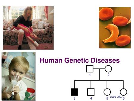 Human Genetic Diseases