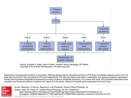 Responses to reduced plasma calcium concentration