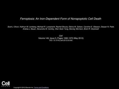 Ferroptosis: An Iron-Dependent Form of Nonapoptotic Cell Death