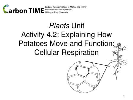 Carbon: Transformations in Matter and Energy