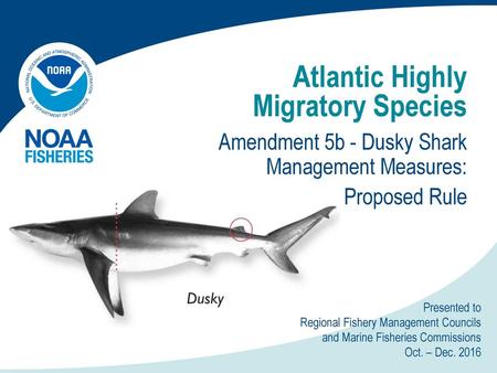 Atlantic Highly Migratory Species