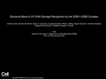 Structural Basis of UV DNA-Damage Recognition by the DDB1–DDB2 Complex