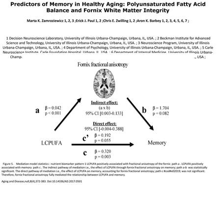 Predictors of Memory in Healthy Aging: Polyunsaturated Fatty Acid Balance and Fornix White Matter Integrity Marta K. Zamroziewicz 1, 2, 3 ;Erick J. Paul.