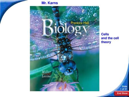 Mr. Karns Biology Cells and the cell theory.