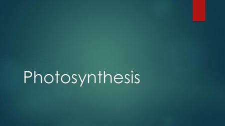 Photosynthesis.