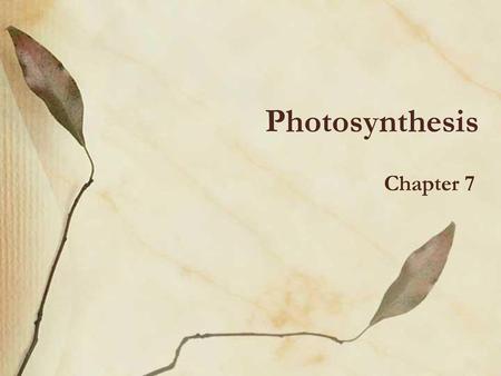 Photosynthesis Chapter 7.