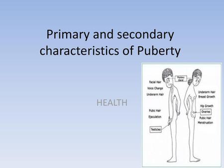 Primary and secondary characteristics of Puberty