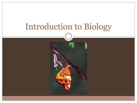 Introduction to Biology