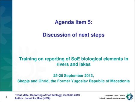 Agenda item 5: Discussion of next steps