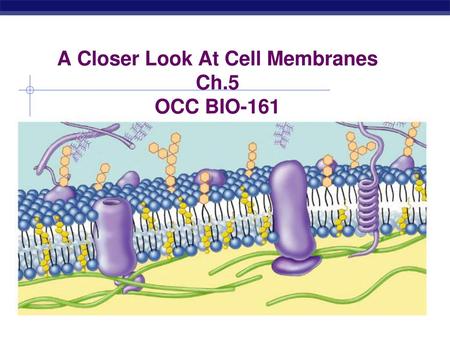 A Closer Look At Cell Membranes Ch.5 OCC BIO-161