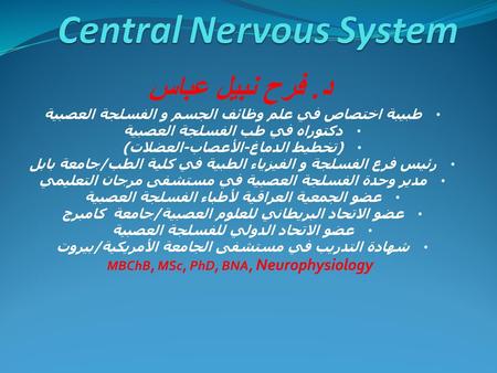 Central Nervous System