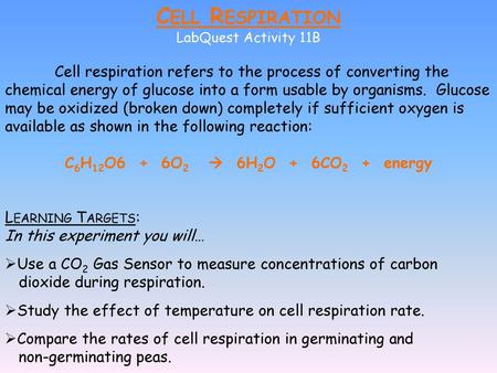 Cell Respiration LabQuest Activity 11B