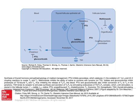 Synthesis of thyroid hormone and pathophysiology of medical management