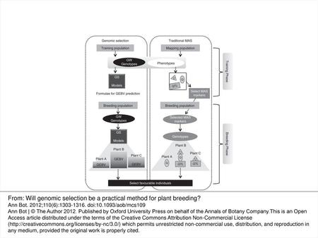 From: Will genomic selection be a practical method for plant breeding?