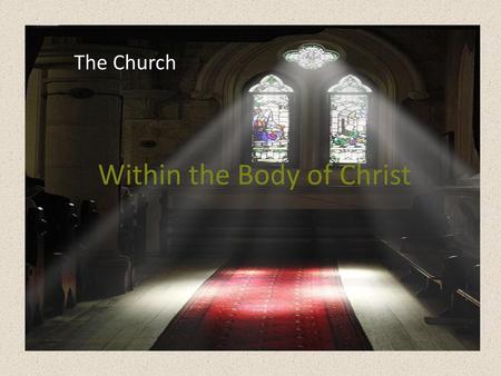 Within the Body of Christ