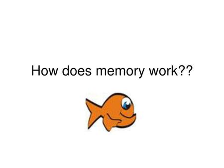 How does memory work??.