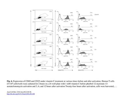 Fig. 6. Expression of CD69 and CD25 under vitamin C treatment at various times before and after activation. Human T cells (5×105 cells/well) were cultured.