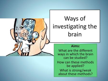 Ways of investigating the brain