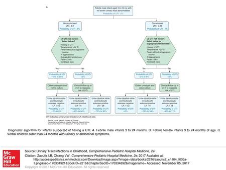 Diagnostic algorithm for infants suspected of having a UTI. A